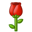 图片关键词 图片