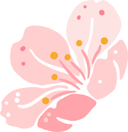 640.webp