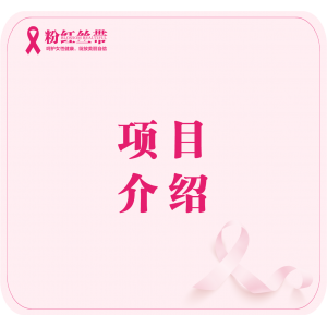 项目介绍