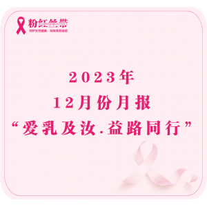 粉红丝带12月份月报请注意查收！