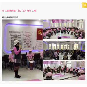 11-12-粉红丝带鼓圈8城市足迹